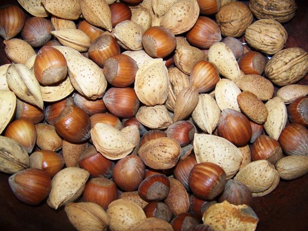 Hazelnut Creme