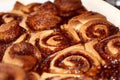 Cinnamon Bun