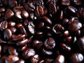 Double Dark Blend